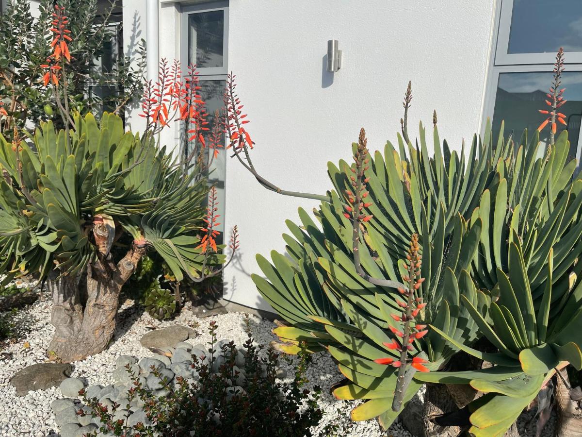Stunning Park Side Holiday Home ไครสต์เชิร์ช ภายนอก รูปภาพ